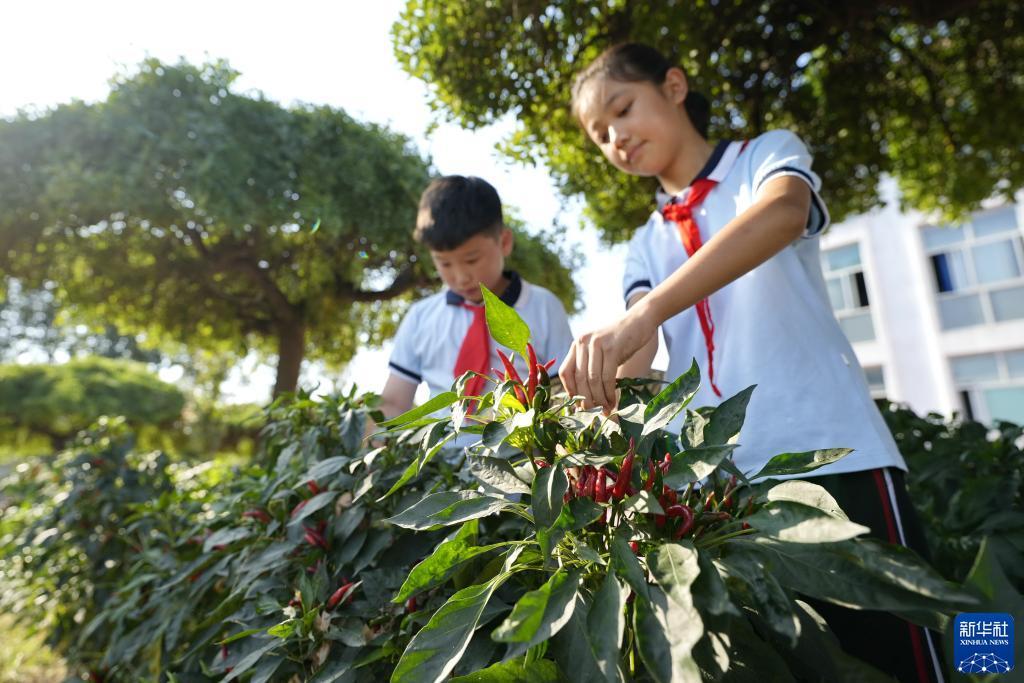 大宝娱乐游戏pt游戏
